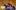 Lively photo of three people and a dog gathered around a magical cauldron. White text says 