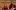 A family sat in the Sam Wanamaker Playhouse laughing at the stage.